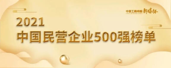 2021中國民營企業(yè)500強 2021中國民營企業(yè)500強