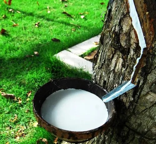 國內(nèi)橡膠制品配套生產(chǎn)的進(jìn)程(一) 國內(nèi)橡膠制品配套生產(chǎn)的進(jìn)程(一)