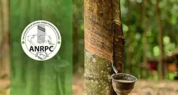 ANRPC預計2021年全球天橡膠產量1386 萬噸 ANRPC預計2021年全球天橡膠產量1386 萬噸