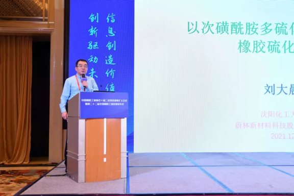 沈陽化工大學(xué)材料科學(xué)與工程學(xué)院副院長、蔚林新材料科技股份有限公司特聘專家劉大晨教授