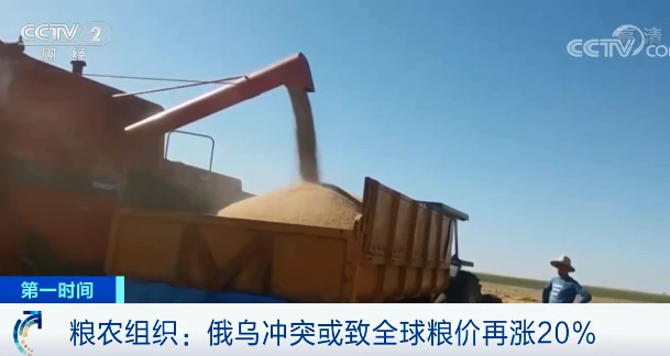 原料價格進一步推高，飼料漲價潮重現(xiàn)