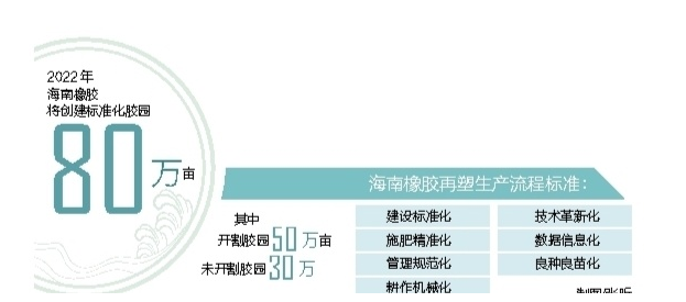 海南橡膠多舉措推進(jìn)標(biāo)準(zhǔn)化膠園建設(shè) 推動(dòng)天然橡膠產(chǎn)業(yè)提質(zhì)增效 海南橡膠多舉措推進(jìn)標(biāo)準(zhǔn)化膠園建設(shè) 推動(dòng)天然橡膠產(chǎn)業(yè)提質(zhì)增效