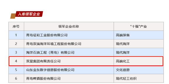 雙星獲評山東省“十強”產(chǎn)業(yè)集群領(lǐng)軍企業(yè) 雙星獲評山東省“十強”產(chǎn)業(yè)集群領(lǐng)軍企業(yè)
