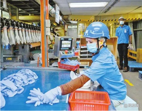 轉(zhuǎn)嫁額外成本是馬來(lái)西亞手套制造商面臨的一大挑戰(zhàn) 轉(zhuǎn)嫁額外成本是馬來(lái)西亞手套制造商面臨的一大挑戰(zhàn)