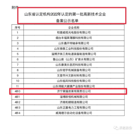 喜報！濟寧黑貓順利通過2022年高新技術(shù)企業(yè)認定