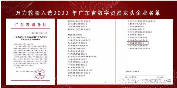 萬(wàn)力輪胎入選廣東省數(shù)字貿(mào)易龍頭企業(yè)
