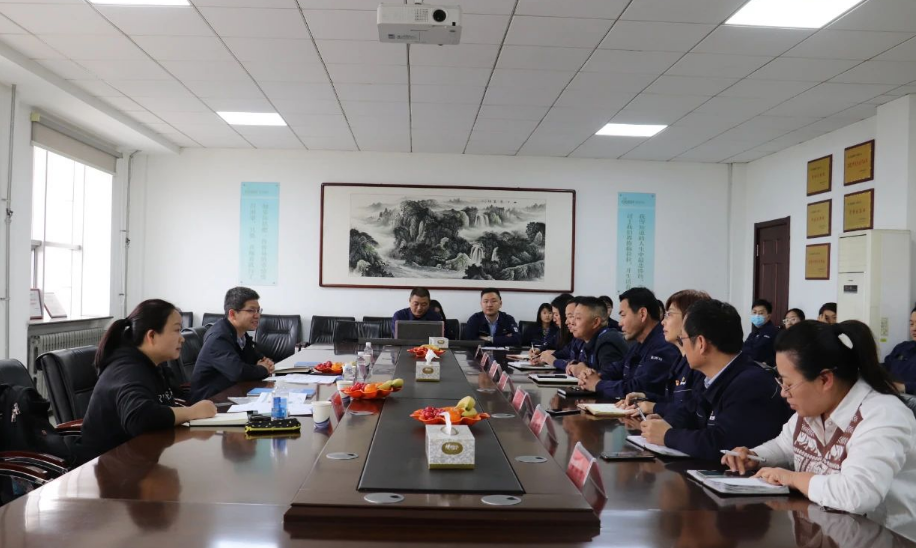 審核過(guò)程中，審核組以IATF16949質(zhì)量管理體系標(biāo)準(zhǔn)、ISO9001、ISO14001、GB/T45001管理體系標(biāo)準(zhǔn)、管理文件、產(chǎn)品標(biāo)準(zhǔn)、作業(yè)指導(dǎo)書等為審核準(zhǔn)則，通過(guò)現(xiàn)場(chǎng)查看和資料審查相結(jié)合的方式，深入車間生產(chǎn)現(xiàn)場(chǎng)、查閱了產(chǎn)品合同、物資采購(gòu)合同、供方評(píng)價(jià)、不合格的處理流程以及客戶滿意度、出廠記錄等相關(guān)資料，并與相關(guān)負(fù)責(zé)人進(jìn)行了溝通交流。