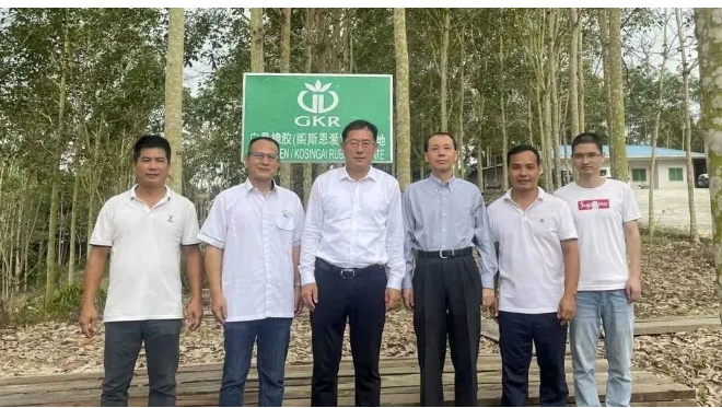 中國駐泰國宋卡總領(lǐng)事吳冬梅和中國駐馬來西亞古晉總領(lǐng)事邢偉平分別到訪廣墾橡膠泰國沙墩公司和廣墾橡膠馬來西亞砂撈越公司，考察了這兩家公司的生產(chǎn)情況和膠園管理情況，并聽取了企業(yè)經(jīng)營管理及黨建工作的匯報(bào)。