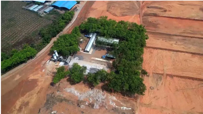 曼列橡膠加速推進橡膠基地項目建設，助力地方經(jīng)濟增長