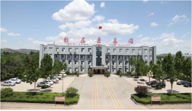 這次會(huì)議為新東岳集團(tuán)公司的高級(jí)管理人員提供了一個(gè)交流和總結(jié)的平臺(tái)，以進(jìn)一步推動(dòng)企業(yè)的高效運(yùn)營(yíng)。