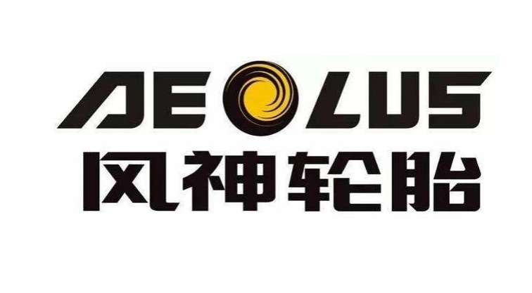 河南省制造業(yè)頭雁企業(yè)名單正式對(duì)外公布。在這份名單中，風(fēng)神輪胎股份有限公司脫穎而出，成為唯一入選的輪胎企業(yè)。
