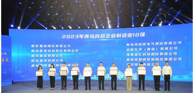 依托青島科技大學(xué)的支持，賽輪集團(tuán)憑借其內(nèi)在的科技創(chuàng)新基因脫穎而出。成立20余年來(lái)，該集團(tuán)始終秉持著“做一條優(yōu)質(zhì)輪胎”的使命，緊緊抓住自主創(chuàng)新這一引擎，聯(lián)合國(guó)家橡膠與輪胎工程技術(shù)研究中心，全力攻克一系列核心技術(shù)難題。不僅成功研發(fā)出世界最大尺寸的63吋巨型工程子午胎，還發(fā)布了全球首個(gè)投入使用的橡膠工業(yè)互聯(lián)網(wǎng)平臺(tái)——“橡鏈云”。此外，其還運(yùn)用全球首創(chuàng)的化學(xué)煉膠技術(shù)，成功研發(fā)出新一代輪胎產(chǎn)品，被譽(yù)為“液體黃金”輪胎。這一產(chǎn)品不僅在耐磨方面實(shí)現(xiàn)突破，還在節(jié)能、舒適性和制動(dòng)距離等方面做出了顯著貢獻(xiàn)，解決了業(yè)界長(zhǎng)期面臨的“魔鬼三角”難題。