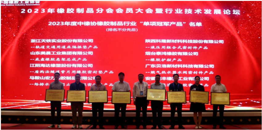 在行業(yè)技術(shù)發(fā)展論壇上，15位嘉賓在橡膠密封、軌道交通、產(chǎn)品檢測、原材料等領(lǐng)域為與會代表做了精彩的報告。