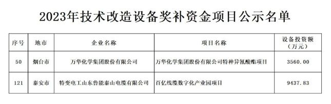 根據(jù)山東省政府《關(guān)于印發(fā)2023年“穩(wěn)中向好、進(jìn)中提質(zhì)”政策清單(第一批)的通知》(魯政發(fā)〔2022〕18號(hào))以及《關(guān)于組織申報(bào)2023年技術(shù)改造設(shè)備獎(jiǎng)補(bǔ)資金項(xiàng)目的通知》(魯工信規(guī)〔2023〕109號(hào))的要求，山東省工業(yè)和信息化廳積極組織并展開了2023年技術(shù)改造設(shè)備獎(jiǎng)補(bǔ)資金項(xiàng)目評(píng)審工作。在經(jīng)歷了企業(yè)申報(bào)、各市推薦、財(cái)務(wù)審核、專家評(píng)審、部門核查等多個(gè)環(huán)節(jié)后，最終擬定了包含216個(gè)項(xiàng)目的2023年技術(shù)改造設(shè)備獎(jiǎng)補(bǔ)資金項(xiàng)目名單。