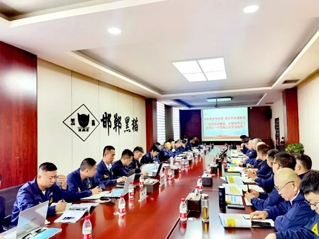 在邯鄲黑貓公司的調(diào)研會上，盛旺喜明確了現(xiàn)場管理的數(shù)字化改革進程，并要求標準化工作流程，以提高工作效率。他強調(diào)員工應積極參與現(xiàn)場維護，提高員工的歸屬感和責任感。此外，他強調(diào)要堅決杜絕“八大浪費”，以使生產(chǎn)過程更加科學規(guī)范。