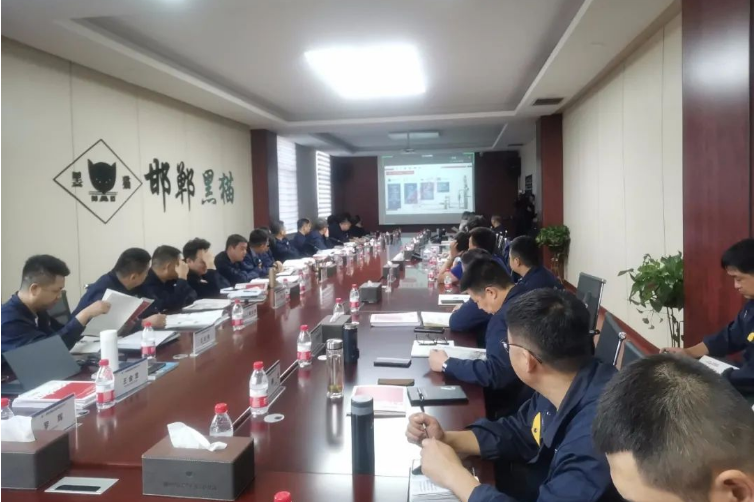 在交流培訓(xùn)會(huì)上，德固特詳細(xì)介紹了他們的高溫空氣預(yù)熱器、急冷鍋爐、余熱鍋爐、吹灰器、轉(zhuǎn)筒干燥機(jī)、造粒機(jī)等主要設(shè)備，并分享了撬裝式炭黑節(jié)能生產(chǎn)線、模塊化尾氣余熱回收系統(tǒng)、間接換熱干燥系統(tǒng)急節(jié)能型火箱等新技術(shù)。會(huì)后，德固特的負(fù)責(zé)人為參會(huì)者提供了各種設(shè)備的安裝、使用、維護(hù)和檢修要點(diǎn)，以便于各基地今后規(guī)范操作和設(shè)備的使用。