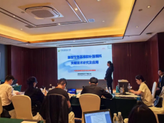突破！湖南橡塑新型填料實現(xiàn)60%以上炭黑替代