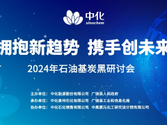 擁抱新趨勢(shì) 攜手創(chuàng)未來！2024年石油基炭黑研討會(huì)成功舉辦