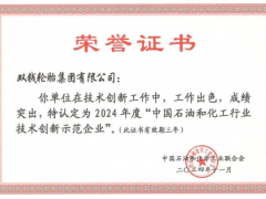雙錢輪胎榮獲2024技術(shù)創(chuàng)新示范企業(yè)稱號