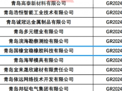 國橡宜穩(wěn)橡膠科技喜獲高新技術企業(yè)資質