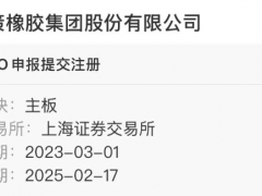 中策橡膠IPO審核提交注冊